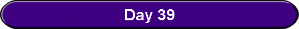 Day 39