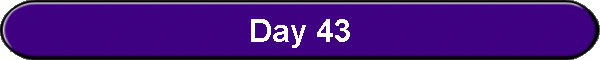 Day 43