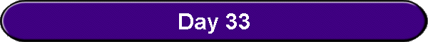 Day 33