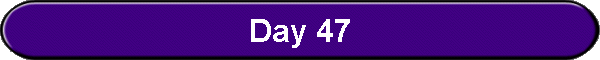 Day 47