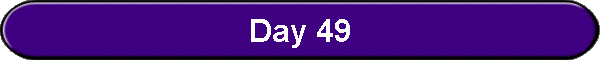 Day 49