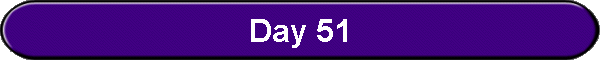 Day 51