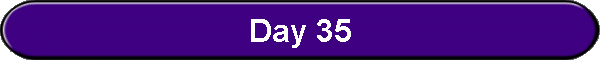 Day 35
