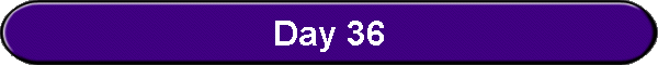 Day 36
