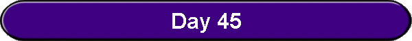 Day 45