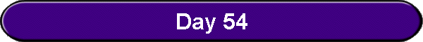 Day 54
