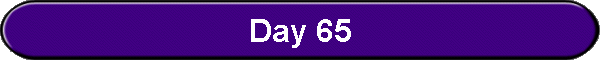 Day 65